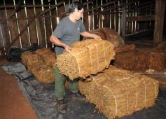 Foto de la galería: O.N.G. Conciencia  visita escuelas de Andresito