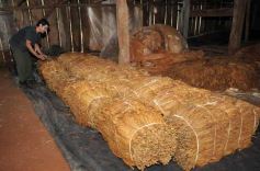 Foto de la galería: O.N.G. Conciencia  visita escuelas de Andresito