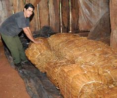Foto de la galería: O.N.G. Conciencia  visita escuelas de Andresito