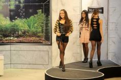 Foto de la galería: Programa Apertura de Telehogar Temporada 2012