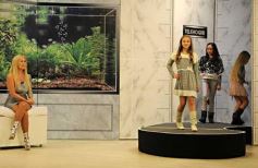 Foto de la galería: Programa Apertura de Telehogar Temporada 2012