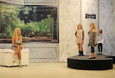 Foto de la galería: Programa Apertura de Telehogar Temporada 2012