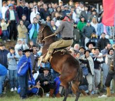 Foto de la galería: Fiesta Gaucha en el velódromo de Posadas