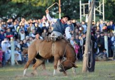 Foto de la galería: Fiesta Gaucha en el velódromo de Posadas