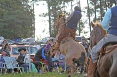 Foto de la galería: Fiesta Gaucha en el velódromo de Posadas