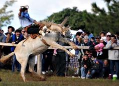 Foto de la galería: Fiesta Gaucha en el velódromo de Posadas