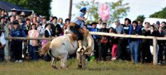 Foto de la galería: Fiesta Gaucha en el velódromo de Posadas
