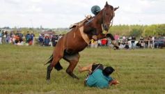 Foto de la galería: Fiesta Gaucha en el velódromo de Posadas
