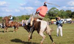 Foto de la galería: Fiesta Gaucha en el velódromo de Posadas