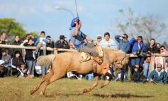 Foto de la galería: Fiesta Gaucha en el velódromo de Posadas