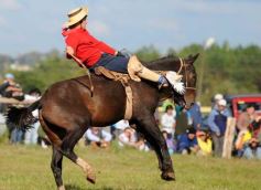 Foto de la galería: Fiesta Gaucha en el velódromo de Posadas