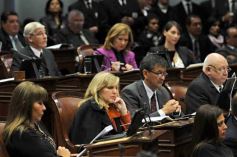 Foto de la galería: Apertura de las sesiones ordinarias de la Legislatura en el Teatro de Prosa