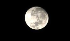 Foto de la galería: Paseos y trabajos en Posadas