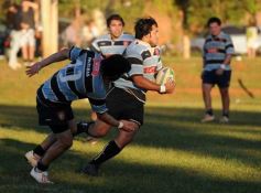 Foto de la galería: Lomas 49-Capri 25