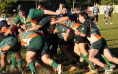 Foto de la galería: Lomas 49-Capri 25