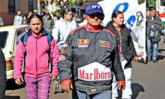 Foto de la galería: Paseos y trabajos en Posadas