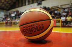 Foto de la galería: Tokio de Posadas 103-Coatí de Eldorado 100