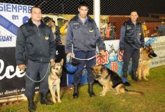 Foto de la galería: Promocion,  Crucero 0-Brown de Puerto Madryn 0