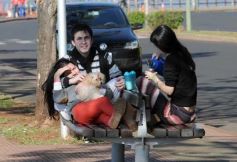 Foto de la galería: Paseos y trabajos en Posadas