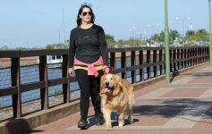 Foto de la galería: Paseos y trabajos en Posadas