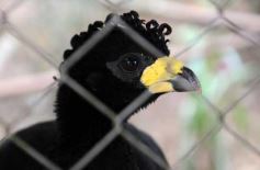 Foto de la galería: Zoo-Bal-Park