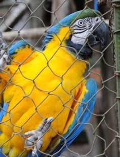 Foto de la galería: Zoo-Bal-Park