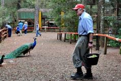 Foto de la galería: Zoo-Bal-Park