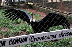 Foto de la galería: Zoo-Bal-Park