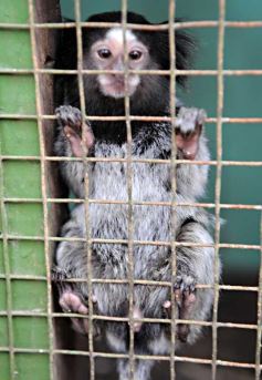 Foto de la galería: Zoo-Bal-Park