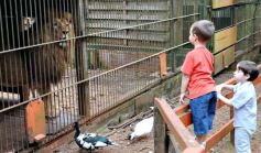 Foto de la galería: Zoo-Bal-Park