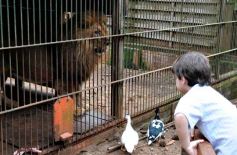 Foto de la galería: Zoo-Bal-Park