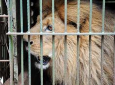 Foto de la galería: Zoo-Bal-Park