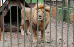 Foto de la galería: Zoo-Bal-Park