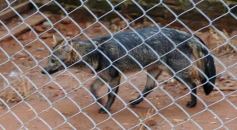 Foto de la galería: Zoo-Bal-Park