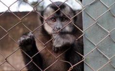 Foto de la galería: Zoo-Bal-Park