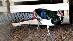 Foto de la galería: Zoo-Bal-Park