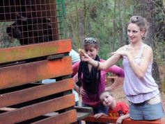 Foto de la galería: Zoo-Bal-Park