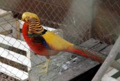 Foto de la galería: Zoo-Bal-Park