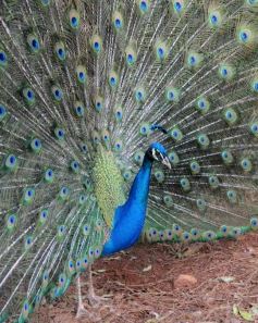 Foto de la galería: Zoo-Bal-Park