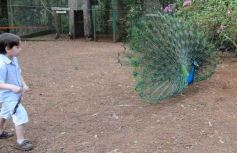 Foto de la galería: Zoo-Bal-Park