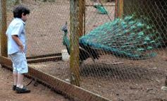 Foto de la galería: Zoo-Bal-Park