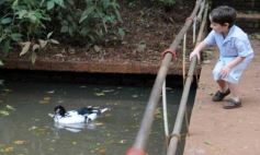 Foto de la galería: Zoo-Bal-Park