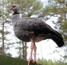 Foto de la galería: Zoo-Bal-Park