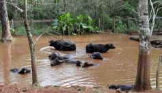 Foto de la galería: Zoo-Bal-Park