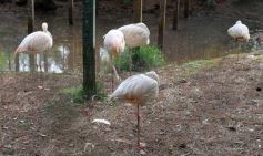 Foto de la galería: Zoo-Bal-Park