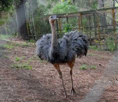 Foto de la galería: Zoo-Bal-Park