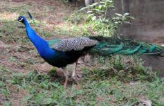 Foto de la galería: Zoo-Bal-Park