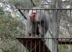 Foto de la galería: Zoo-Bal-Park