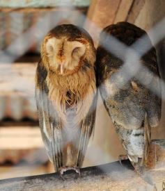 Foto de la galería: Zoo-Bal-Park