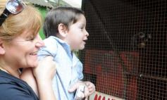 Foto de la galería: Zoo-Bal-Park